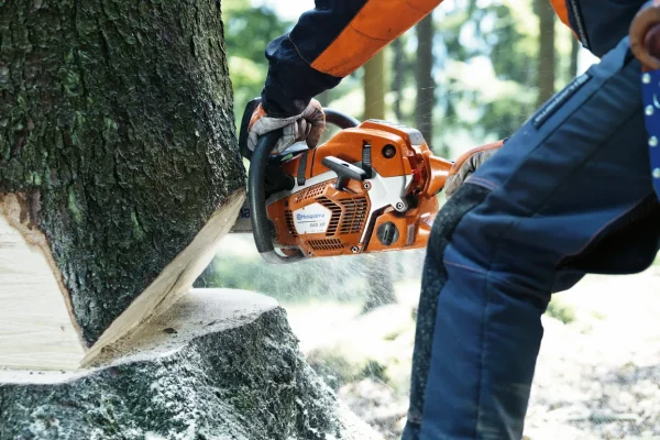 Husqvarna 365 Chainsaw - 20in. - Image 3